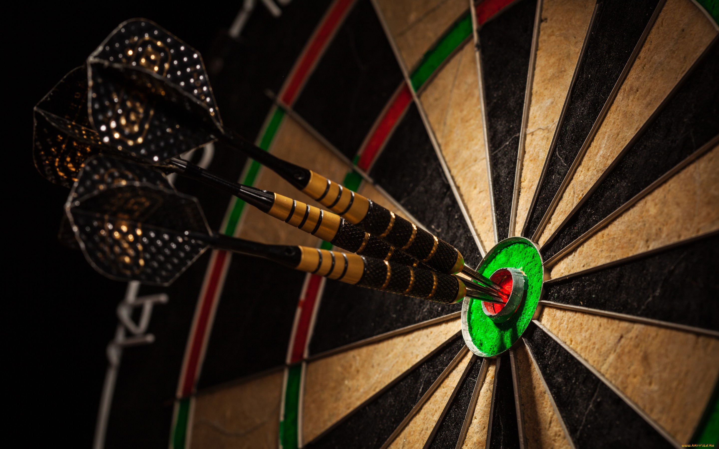 ,  ,   , dartboard, darts, perfection, colors, , , 